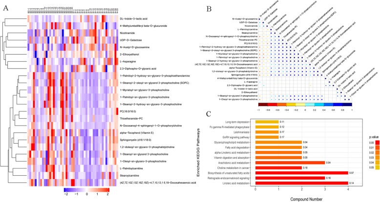 Bioinformatics analysis of differential metabolites. a Significant difference metabolite hierarchical clustering results in positive ion mode. b Relevance among significant difference metabolites. c KEGG pathway enrichment analysis of differentially expressed metabolites