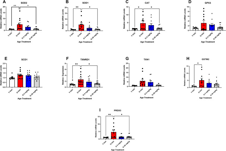 CBD treatment reversed age-related changes in the expression of oxidative stress.Results from qPCR indicate that multiple markers of oxidative stress were elevated with age. 12 mos-old vehicle treated SAMP8 mice (Red bars) had elevated SOD2, SOD1, CAT, TXNRD1 GSTM2, and PRDX3 gene expression (A, B, C, F, H & I) compared to 4 mos-old vehicle treated mice (white bars; A, B, C, F, H & I). Both 3 (blue bars) and 30 mg/Kg (gray bars) CBD treated 12 mos-old SAMP8 mice showed significant decreases in SOD2 and SOD1 gene expression (A & B) with a trend towards a reduction in CAT, TXNRD1, GSTM2 and PRDX3 gene expression (B, F, H, & I). (N = 10 ~ 12 per group for all). * P < 0.05.