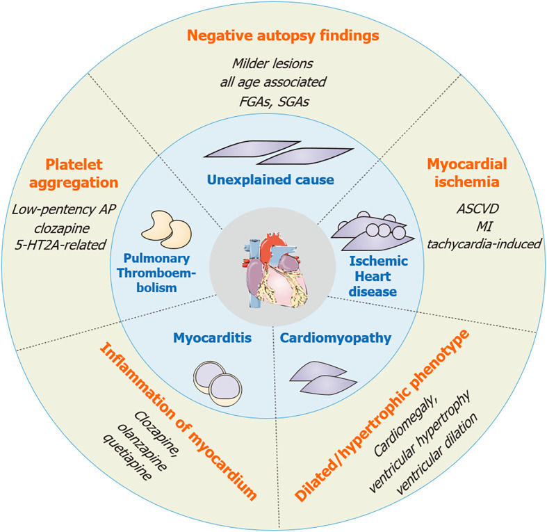 Summary of cardiac pathological changes in response to antipsychotic treatments. Typical characteristics of each pathological change are concisely listed in black text. SGA: Second-generation antipsychotic; FGA: First-generation antipsychotic; ASCVD: Atherosclerotic cardiovascular disease; MI: Myocardial infarction.