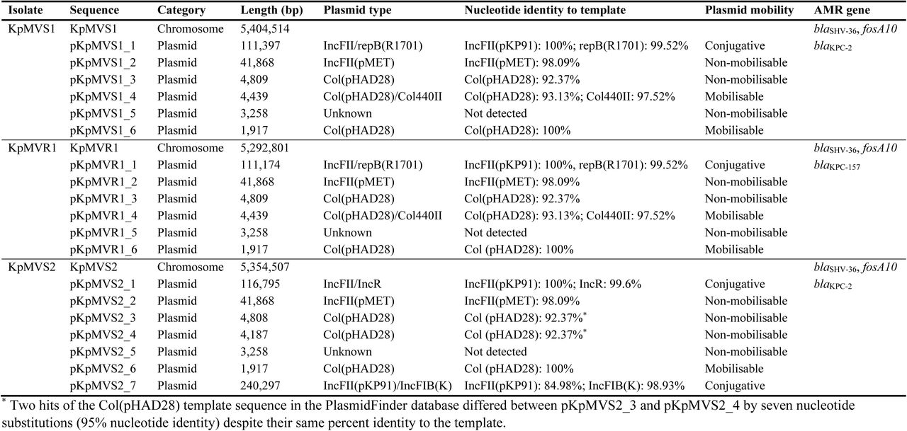 Genetic characteristics of the three K. pneumoniae clinical isolates. Abbreviation: AMR, antimicrobial resistance. Each hit of plasmid replicons covered the full length of its reference sequence in the PlasmidFinder database.