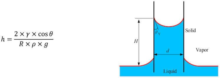 Capillary rise in a tube [42]. Where R is the inner radius of the tube (m), ρ is the density of the liquid (kg/m3), g is the acceleration due to gravity (9.81 m/s2), γ is the surface tension of the liquid (N/m), and θ is the contact angle between the liquid and the solid (degrees).