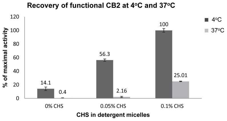 Effect of CHS on stability of CB2 in detergent micelles at 4°C and 37°C.Activity of CB2 recovered from micelles supplemented with 0.1% CHS at 4°C was set as 100%. Figure presents results of a typical experiment (out of a total of 3), each point is an average of two measurements of the same sample with SD as indicated.