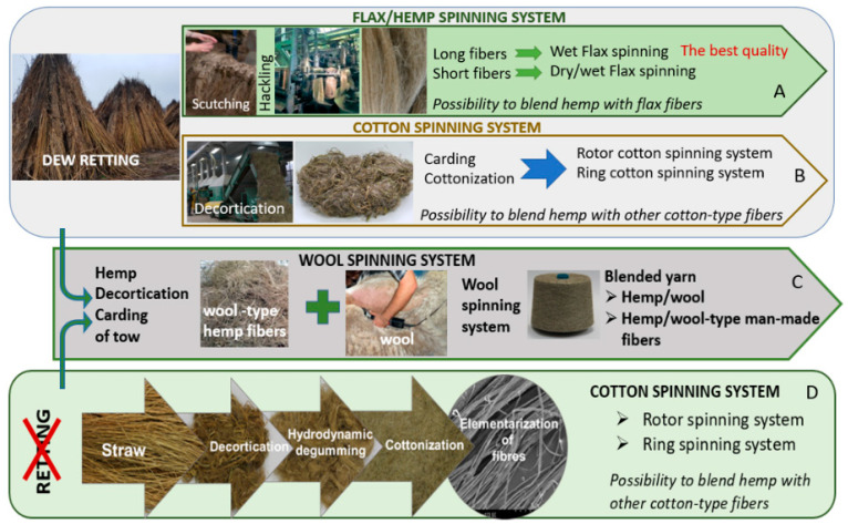 Graphical performance of process chains possible to use for hemp yarn production. A—traditional flax/hemp spinning system, B—use of cotton spinning system for pre-treated fibres by decortication of retted fibres, C—use of wool spinning system, D—use of cotton spinning system for pre-treated hemp fibres by degumming of decortication of fibres (own elaboration).