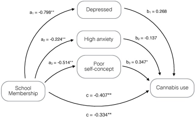 Mediation model, adjusted for age and gender, on the association of school membership with cannabis use mediated by being depressed, having high anxiety and poor self-concept. *p < 0.05, **p ≤ 0.001; a1–a3, b1–b3, c = regression coefficients; and c′ = regression coefficient between the independent variable and dependent variable adjusted by the mediating effect.
