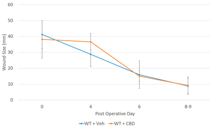 The alteration in the temporal wound healing profile by CBD showing a decrease in the initial rate of wound contraction, in agreement with the reduced levels of IL-33 in the wound. Error bars are standard deviations.