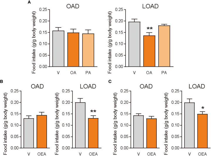 Effects of OA and OEA treatment on food intake in mice fed the OAD and LOAD. Mice were fed the OAD for 1 week and then treated with fatty acids and OEA 30 min before the dark cycle. They were fed either the OAD or LOAD during a 12 h period, and their food intake was measured. (A) In the LOAD group, oral gavage of OA (100 mg of OA/mouse) but not PA (100 mg of PA/mouse) reduced food intake compared with that observed following the vehicle treatment (V; PBS containing 0.3% xanthan gum). (B) Oral gavage of OEA (5 mg/mouse) reduced food intake in the LOAD group compared to that observed following the vehicle treatment (V; PBS containing 10% DMSO and 0.3% xanthan gum). (C) Intraperitoneal treatment of OEA (0.5 mg/mouse) reduced food intake in the LOAD group compare with that observed following the vehicle treatment (V; PBS containing 70% DMSO). Values are expressed as means ± SEMs (n = 5 for V; n = 6 for OA or OEA). *P < 0.05; **P < 0.01.