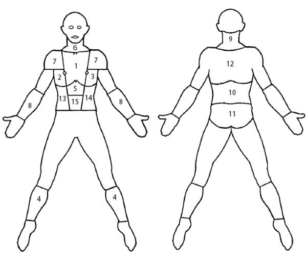 Body Picture with 15 Anatomic Areas