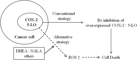 The possibility of development of a new alternative strategy that can utilize COX-2 or 5-LO activity itself in cancer cells. Considering our observation that DHEA and NALA produced more ROS through the 5-LO pathway than AA, we suggest the possibility of development of a new alternative strategy that can utilize COX-2 or 5-LO activity itself in cancer cells but is different from direct inhibition of COX-2 or 5-LO