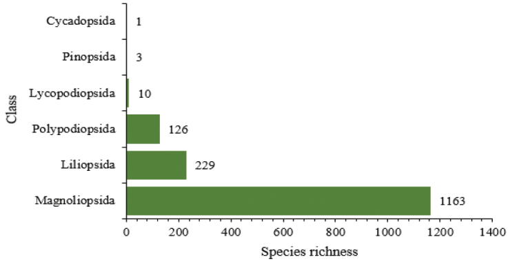 The classes of vascular plant species in Taita Hills.