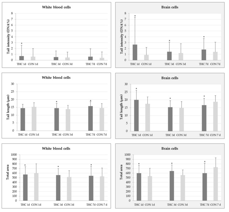 The levels of DNA damage measured using the alkaline comet assay in white blood cells and brain cells of male Wistar rats after 1-, 3-, and 7-day (d) treatments with Δ9-tetrahydrocannabinol (THC) and in the respective controls. The daily THC dose was 7 mg/kg b.w.; it was dissolved in sesame oil and administered per os. Control rats (CON) received the same daily volume of sesame oil as the THC group. Data represent mean ± standard deviation. There were five rats per group, and 200 comets per rat were scored on duplicate slides (altogether one thousand independent comet measurements per each experimental group were made). * p < 0.05 vs. control (Mann–Whitney U test).