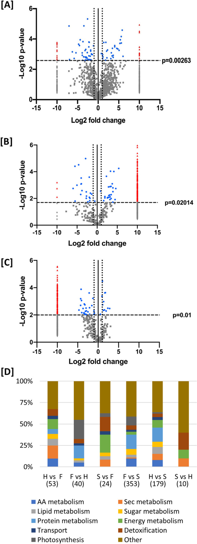 Pairwise comparisons of protein abundance in trichome fractions and flowers.Volcano plot data models (Log2 fold change plotted against–Log10 (Benjamini-Hochberg corrected p-value)) of relative protein abundance in a pairwise comparison of [A] glandular trichome heads (negative fold change) and late-stage flowers (positive fold change), [B] glandular trichome stalk (negative fold change) and late-stage flowers (positive fold change) and [C] glandular trichome heads (negative fold change) and glandular trichome stalk (positive fold change). Vertical line at x = 0 represents the 0-fold change threshold. Perforated lines intersecting x = -1 and x = 1 represent a two-fold change in abundance. Red triangles denote significant proteins found exclusively in one group but not the other. Grey triangles represent unique, yet non-significant proteins. Blue dots represent proteins found in both sample types that are significantly more abundant in one sample or the other. Grey dots represent proteins found in both sample types that are not significantly more abundant in either sample type. [D] Percent (%) representation of major metabolic categories in pairwise comparisons. Represented protein counts are indicated in brackets (N). Respective protein names and associated log-fold changes p-values for all categories across all comparisons can be found in S3.H = head, S = stalk, F = late flower.