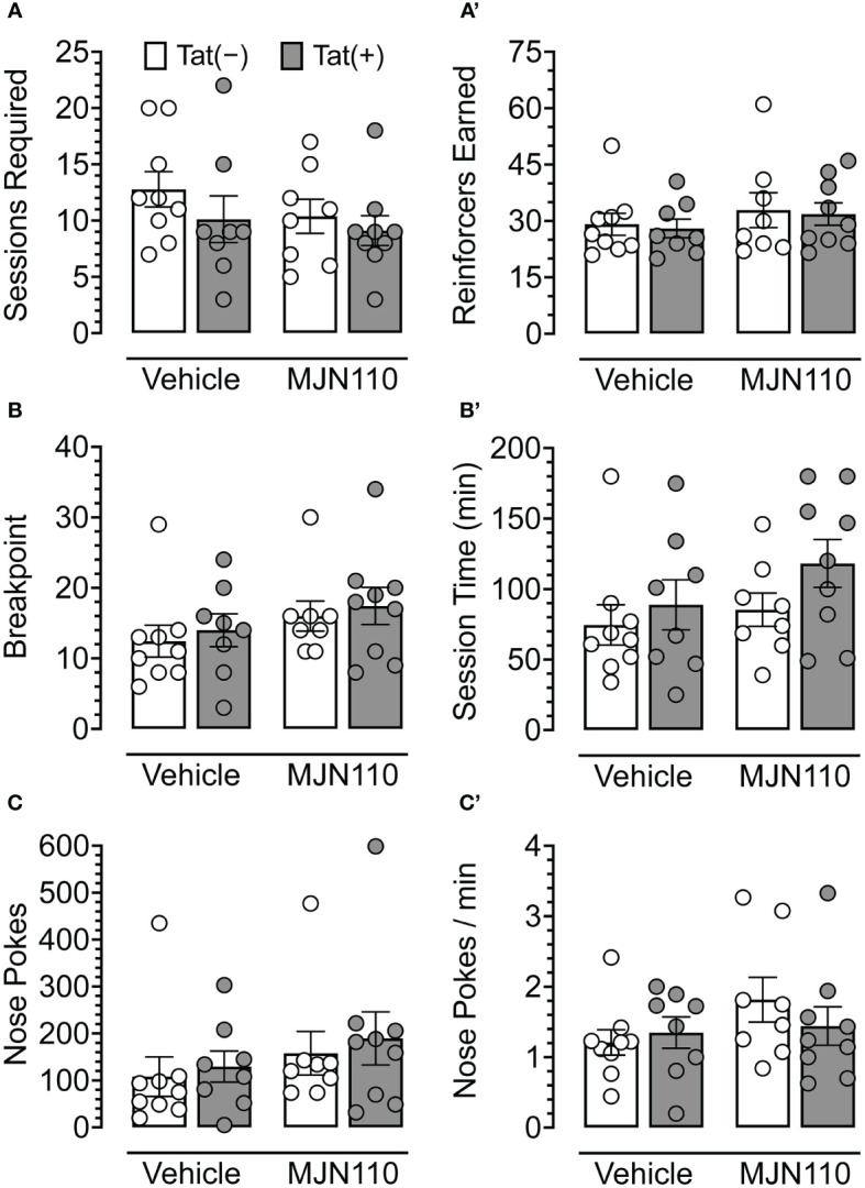 Behavioral data for fixed-ratio (FR) 1 shaping sessions and progressive fixed-ratio (PFR) breakpoint test. For FR 1 shaping (A, A’), no significant differences were observed between genotype or drug groups for the number of sessions required to advance to the PFR breakpoint test (A) or the number of reinforcers earned in sessions wherein criteria for advancement were met (A’). In the PFR breakpoint test (B-C’), no significant differences were observed for breakpoint (B), session length (B’), total number of nose poke behaviors (C), or nose pokes per minute (C’). All data are expressed as mean ± the standard error of the mean (SEM). Statistical significance was assessed by ANOVAs or Mann-Whitney U nonparametric tests. Individual subject data are represented by open circles.