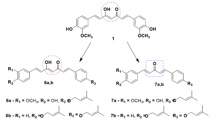 Chemical structures of curcumin-prenyloxy analogues 6a, 6b, 7a and 7b with anti-Aβ-aggregation and anti-inflammatory properties.