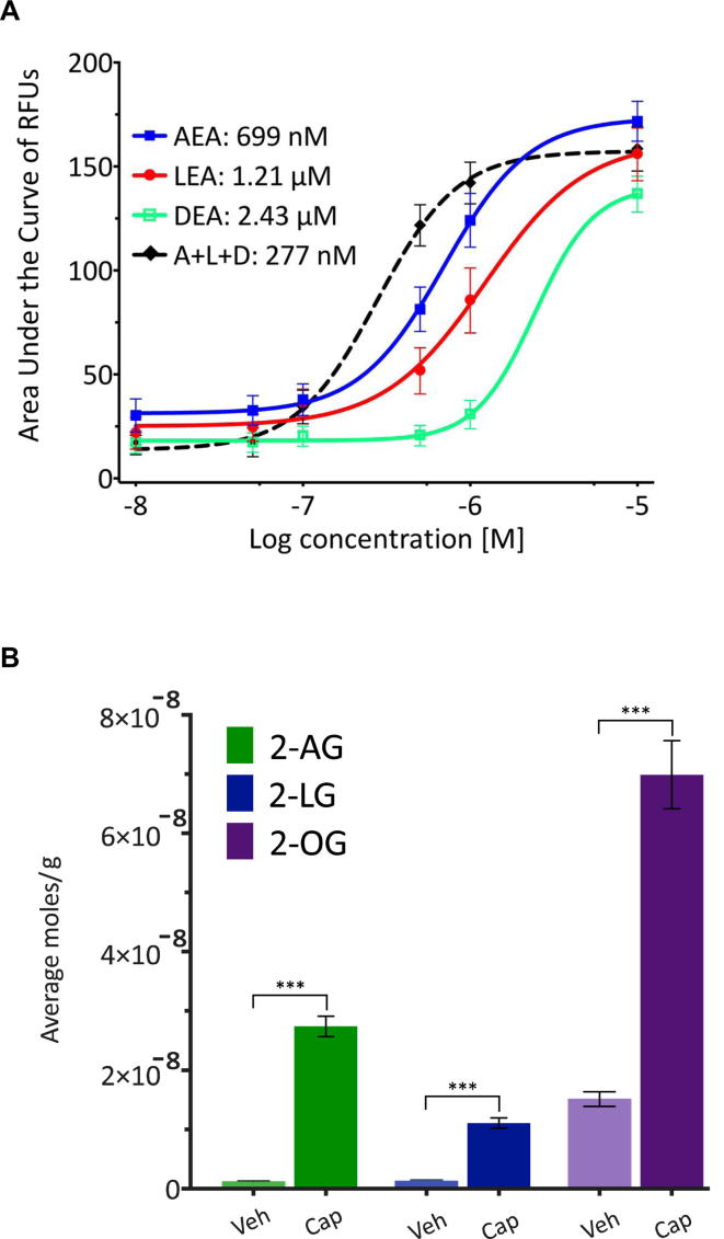 Calcium mobilization and lipid synthesis in TRV1-transfected HEK cells. A) Calcium mobilization as measured by the ratiometric dye, Fura2AM, activity. Data are the average of 4–8 wells/96-welll plate of each concentration across 6 plates. Each plate analyzed responses from compound (N-arachidonoyl ethanolamine: AEA; N-linoleoyl ethanolamine: LEA; N-docosahexaenoyl ethanolamine: DEA) individually and a combination of all three (A + L + D). EC50 values are listed to the right of the treatments in the legend. B) HPLC/MS/MS analysis of 2-acyl glycerol levels in TRPV1-HEK cells after 1 min stimulation with vehicle (0.1% DMSO) or 10 µM Capsaicin. N = 4, T-75 flasks for each condition. Data are shown as moles/gram dried pellet wt. of extracted cells.
