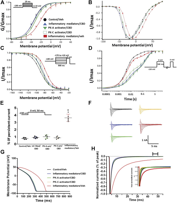 (A) Effect of CBD (5 μM, perfusion) on the conductance curve of Nav1.5 transfected CHO cells incubated with inflammatory mediators (24 h) or PK-A activator (CPT-cAMP; 1 μM, for 20 min) or PK-C activator (PMA; 10 nM, for 20 min) with the insert showing the protocol (n = 5, each). (B) IV curves (C) Effect of CBD (5 μM, perfusion) on SSFI of Nav1.5 transfected CHO cells incubated with inflammatory mediators (24 h) or PK-A activator (CPT-cAMP; 1 μM, for 20 min) or PK-C activator (PMA; 10 nM, for 20 min) with the insert showing the protocol (n = 5, each). (D) Effect of CBD (5 μM, perfusion) on recovery from fast inactivation of Nav1.5 transfected CHO cells incubated with inflammatory mediators (24 h) or PK-A activator (CPT-cAMP; 1 μM, for 20 min) or PK-C activator (PMA; 10 nM, for 20 min) with the insert showing the protocol (n = 5, each). (E) Effect of CBD (5 μM, perfusion) on the percentage of persistent sodium currents of Nav1.5 transfected CHO cells incubated with inflammatory mediators (24 h) or PK-A activator (CPT-cAMP; 1 μM, for 20 min) or PK-C activator (PMA; 10 nM, for 20 min) with the insert showing the protocol (n = 5, each). (F) Representative families of macroscopic currents. (G) Effect of CBD (5 μM, perfusion) on the In silico action potential duration of Nav1.5 transfected CHO cells incubated in inflammatory mediators (24 h) or PK-A activator (CPT-cAMP; 1 μM, for 20 min) or PK-C activator (PMA; 10 nM, for 20 min). (H) Representative persistent currents across conditions. Currents were normalized to peak current amplitude. Bar above current traces indicates period during which persistent current was measured. Inset shows non-normalized currents. *p < 0.05 vs. corresponding “Control/Veh” values using one-way ANOVA along with post hoc testing.