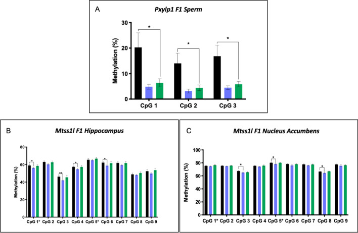 Bisulfite Pyrosequencing of F1 tissues. Bisulfite pyrosequencing detected heritable changes at A Pxylp1 in F1 sperm; B Mtss1l in F1 hippocampus; and C Mtss1l in F1 NAc. CpG sites labeled with “*” correspond to those identified via WGBS in the LE v C or EE v C datasets. Black, control offspring; blue, EE offspring; green, LE offspring. Two-factor ANOVA (factor 1 = exposure status, factor 2 = CpG site) were significant for all genes. Significance indicators on graphs represent post hoc two-tailed t-tests. #p = 0.05, *p < 0.05, **p < 0.01