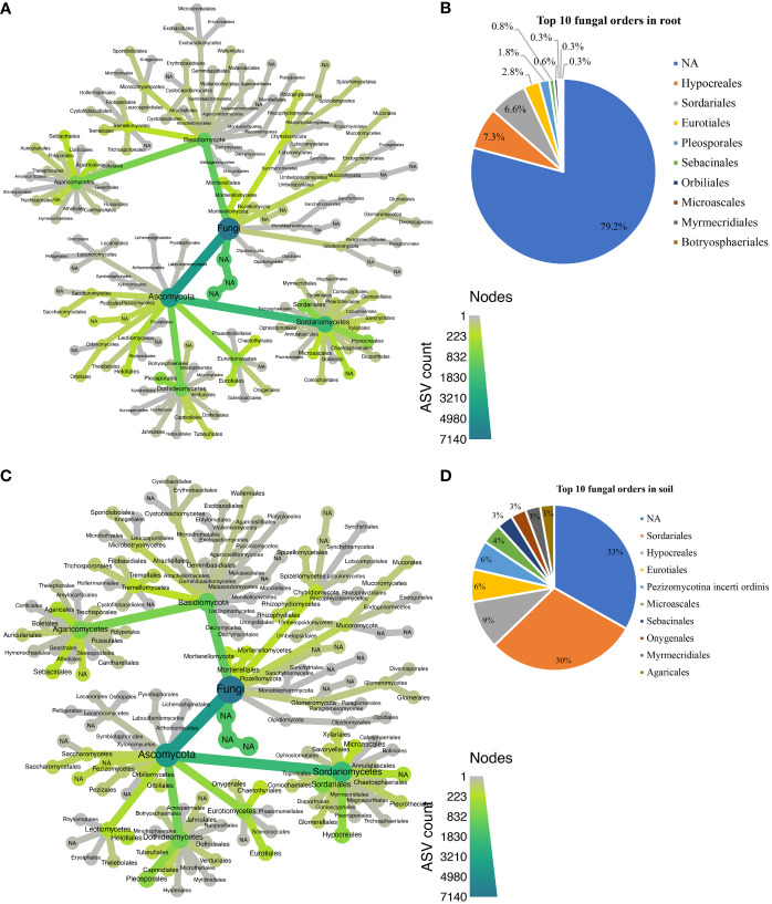 Taxonomic composition at the order level for fungal communities. (A) Taxonomic representation at order level in the roots; (B) relative abundance of top 10 fungal orders in the roots. (C) Taxonomic representation at order level in rhizosphere soil. (D) Relative abundance of top 10 fungal orders in rhizosphere soil.