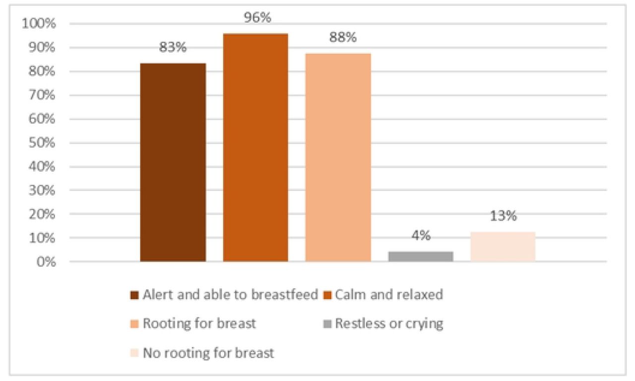 Exploration of low-birth-weight infants’ well-being