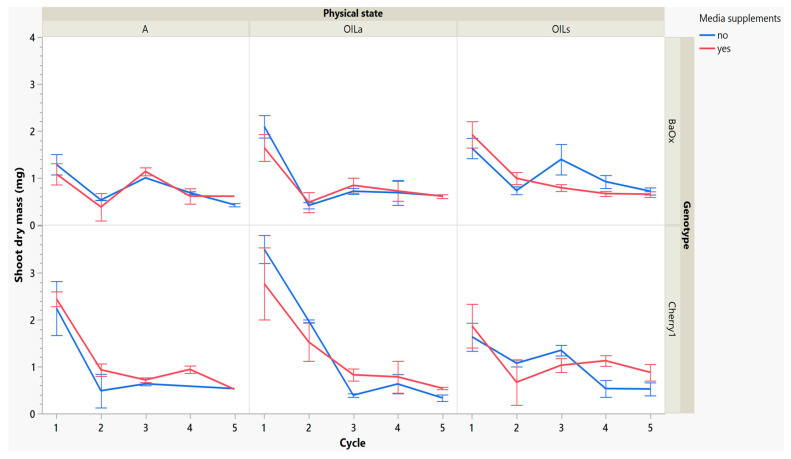 Dry mass of a shoot harvested from RV750 vessels per genotype over five repeated cycle harvests based on physical state agar (A), agitated Oasis® infused with liquid (OILa) stationary Oasis® infused with liquid (OILs). Media supplement of 15 mL indicated by red (yes) and blue (no treatment added).