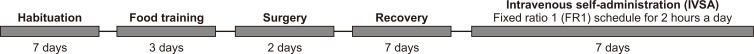 Diagrams outlining the experimental schedule of the intravenous self-administration (IVSA) test.