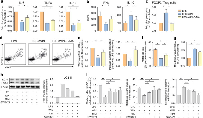 CBRs-induced autophagy drives metabolic reprogramming and human tolerogenic DCs generation.a Gene expression levels of hmoDCs stimulated with LPS (0.1 µg/mL) plus WIN55212-2 (WIN, 10 µM) or in the presence of the autophagy inhibitor 3-methyladenine (3-MA, 25 µM) relative to LPS-stimulated condition (n = 5). b Cytokines produced by naïve CD4+ T cells primed by hmoDCs stimulated in the indicated conditions after 5 days (n = 6). c Increment in FOXP3+ Tregs generation relative to LPS-stimulation condition. d Flow cytometry representative dot plots. e Quantification of the induced Warburg effect and lactate content in cell-free supernatants relative to LPS stimulation (n = 6). f Glucose consumption determined as metabolic rate of the indicated conditions (n = 6). g Fluorescence intensity of hmoDCs stained with Mito Tracker Red relative to LPS-stimulated condition (n = 6). h Left, western blot of hmoDCs stimulated with LPS, LPS/WIN55212-2 or LPS/WIN55212-2 in the presence of CB1 (Rimonabant, (RIM), 10 µM) and PPARα (GW6471, 25 µM) antagonists for 18 h. Right, quantification of the reactive bands by scanning densitometry. i Quantification of the induced Warburg effect, metabolic rate and fluorescence intensity of Mito Tracker Red stained cells in hmoDCs relative to LPS stimulation (n = 6). Values are mean ± SEM. Statistical significance was determined using One-way Anova. *P < 0.05, **P < 0.01.