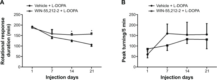 Effects of chronic administration of WIN-55,212-2 on dyskinetic responses to L-DOPA in 6-OHDA-lesioned rats.Notes: (A) Effects of WIN-55,212-2 on the duration of rotational responses to L-DOPA. (B) Effects of WIN-55,212-2 on peak turning responses to L-DOPA. In 6-OHDA-lesioned rats, WIN-55,212-2 (1 mg/kg, IP) or vehicle was co-administered with L-DOPA (50 mg/kg, IP) and benserazide (12.5 mg/kg, IP) for 21 days. Rotational responses and peak turning were measured immediately after L-DOPA injection at day 1, 7, 14, and 21. Data are expressed as means ± SEM (n=7 per group). *P<0.05 versus vehicle plus L-DOPA.Abbreviations: 6-OHDA, 6-hydroxydopamine; IP, intraperitoneal; L-DOPA, L-3,4-dihydroxyphenylalanine; SEM, standard error of mean.