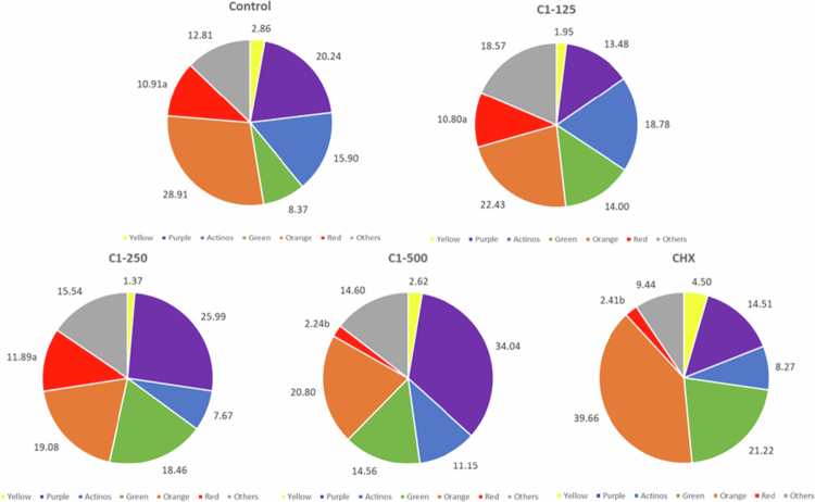 Mean proportions of bacterial complexes multispecies biofilm treated with vehicle negative control (CONTROL), CBD (C1) at 125, 250, 500 µg/mL and clorhexidina 0.12% (CHX). The colours represent different microbial complexes described by Socransky et al. [2]. Different letters mean statistical significance among groups within the same complex. Statistical analysis was performed using Kruskal-Wallis followed by Dunn post-hoc (p ≤ 0.05). Data from three independent experiments, each of which was performed in duplicate.