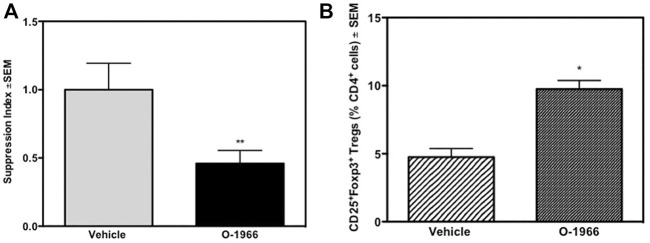 In vivo O-1966 treatment decreases proliferation and increases the percentage of Tregs following ex vivo stimulation. Donor C3HeB/FeJ flank skin was transplanted to the back of recipient C57BL/6J mice, sutured, and bandaged. Doses of O-1966 (5 mg/kg) or vehicle (0.03% ethanol and 0.03% cremophor in saline) were injected i.p. every other day from 1 h pre-op to 14 days post-op. On post-op day 14, animals were sacrificed and spleens were aseptically removed, restimulated with C3HeB/FeJ splenocytes and put into culture for MLR (A) or harvested at 48 h and analyzed by flow cytometry (B). (A) Proliferation of cultures with splenocytes from O-1966 treated mice () or vehicle treated mice (). (B) Cultures harvested at 48 h from mice treated with O-1966 () or vehicle () and analyzed by flow cytometry for CD25+Foxp3+ Tregs (n = 17 for both groups). Data show number of Tregs as a percentage of total live CD4+ cells (LIVE/DEAD® dead cell stain negative). Data are mean of two separate experiments. *p < 0.05, **p < 0.01 for O-1966 vs. vehicle by one-way ANOVA followed by Tukey’s multiple comparison test).