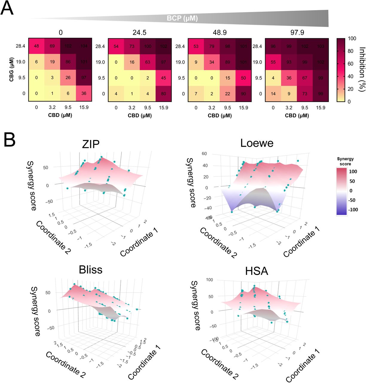 Dose-response matrix and synergy landscape analysis for the CBD, CBG and BCP combinations.(A) Dose-response heatmaps displaying the percentage of growth inhibition across the dose matrix of CBD and CBG, combined with BCP at 0, 24.5, 48.9, and 97.9 µM in MDA-MB-231 cells after 72 h of treatment, as determined by resazurin-based metabolic assay. (B) Three-dimensional synergy-score landscape generated using four reference models (ZIP, Loewe, Bliss, and HSA). Each point corresponds to a unique dose combination, positioned using multidimensional scaling (MDS) coordinates derived from dose-ranking vectors. Colours indicating the degree of interaction: synergy (red/pink), additivity (white), or antagonism (purple). Data represent the median of three independent experiments performed in triplicate.
