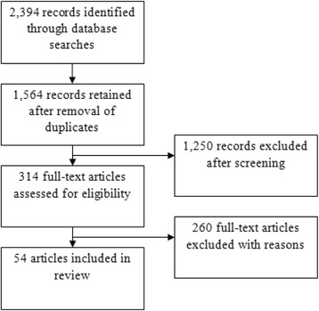 Summary of review process