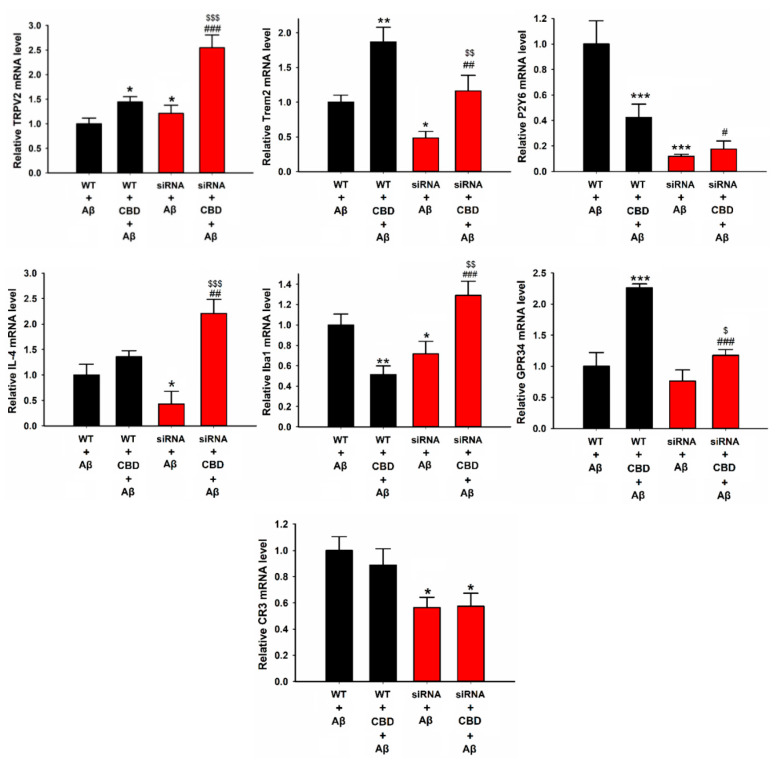 Relative mRNA levels of microglial phagocytic receptors and inflammation factors in microglia cells after knockdown of Trem2. BV2 microglia were treated with or without CBD (5 μM) after 12 h, and mRNA levels were determined by qPCR. The data are represented as the mean ± SEM (n = 4). * p < 0.05, ** p < 0.01, and *** p < 0.001 are compared with wild type treated with Aβ (1 μg/mL) by Tukey’s test; # p < 0.05, ## p < 0.01, and ### p < 0.001 mean CBD + Aβ with or without siRNA by Student’s t-test. $ p < 0.05, $$ p < 0.01, and $$$ p < 0.001 mean CBD knockdown of Trem2 with or without CBD by Student’s t-test.
