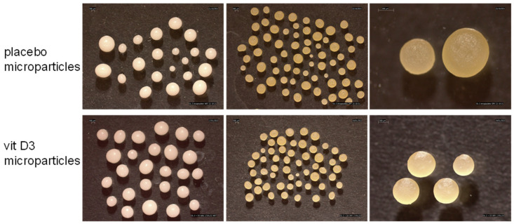 Stereomicroscope images of wet and dried microparticles.