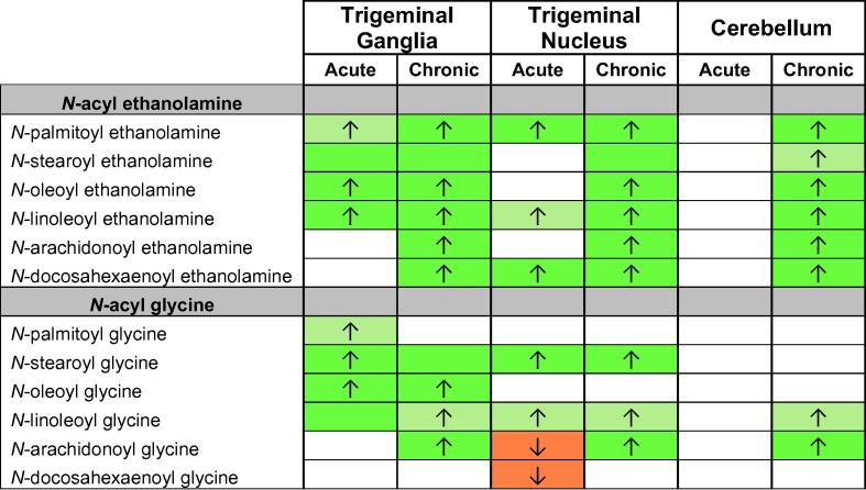 Comparison of effects of acute or chronic acrolein exposure on levels of N-acyl ethanolamines and N-acyl glycines. This figure shows changes in levels of N-acyl ethanolamines and N-acyl glycines in the trigeminal ganglia, trigeminal nucleus caudalis, and cerebellum of animals treated with acute acrolein compared to acute control and in animals treated with chronic acrolein compared to chronic control. Cells with shaded arrows indicate a change in the acrolein group relative to the control group. The arrow color indicates the direction of a significant result relative to control. Green colors represent increases, with darker green representing a significant (p < 0.05) increase and lighter green representing a trending (p < 0.1) increase. Orange colors represent decreases in a lipid’s concentration, with darker orange indicating a significant (p < 0.05) decrease and light orange representing a trending (p < 0.01) decrease. The number of arrows indicates the magnitude of the difference between the control and acrolein mice. To determine the magnitude change and therefore the number of arrows to assign each significant or trending difference, the mean level of a particular lipid in a specific region of the acrolein-treated mice was divided by that same lipid’s mean level in the same region of the corresponding control mice. For decreases the process was very similar: the mean level in the acrolein treated was divided by the mean level in the control; however, the reciprocal of the decimal was taken to express a fold decrease (if the level in the acrolein mouse is ½ of the control level then that is a 2-fold decrease). One arrow indicates a magnitude difference of less than 1.5-fold, 2 arrows indicates a 1.5–1.99-fold change, 3 arrows indicates a 2–2.99-fold change, and 4 arrows represents a magnitude difference of over 3-fold. BDL stands for “Below Detection Limit,” whereas a blank cell indicates that there was no change in the lipid’s level due to acrolein. See Methods for more detailed description of analysis. (For interpretation of the references to color in this figure legend, the reader is referred to the web version of this article.)