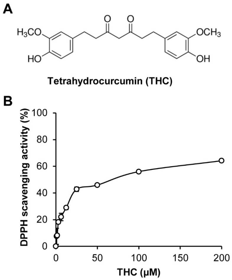 Tetrahydrocurcumin (THC) possessed antioxidative activity. (A) Chemical structure of THC prepared from curcumin isolated from Curcuma longa (Turmeric). (B) The bar graph represents DPPH scavenging activity of THC.