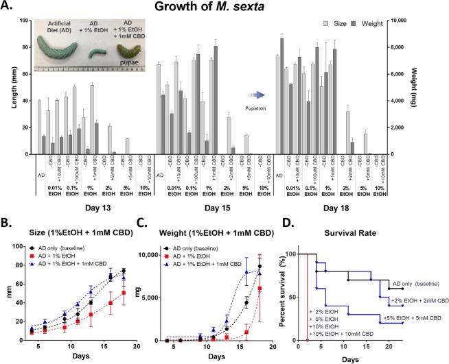 The effects of CBD on the growth and survival of M. sexta with EtOH solvent agent. (A) The size and weight increment between days 13 and 18. The inset in the upper left corner displays the size difference between larvae when fed different diets. Size (B) and weight (C) of insects reared on AD, AD + 1% EtOH, and AD + 1% EtOH + 1 mM CBD (one-way ANOVA with Tukey’s multiple comparisons test, n = 3~10, p < 0.05). (D) Survival rate of M. sexta larvae grown at 2%, 5%, and 10% of EtOH ± 2 mM, 5 mM, and 10 mM CBD concentrations (Mantel-Cox test, n = 5~10, p < 0.05).