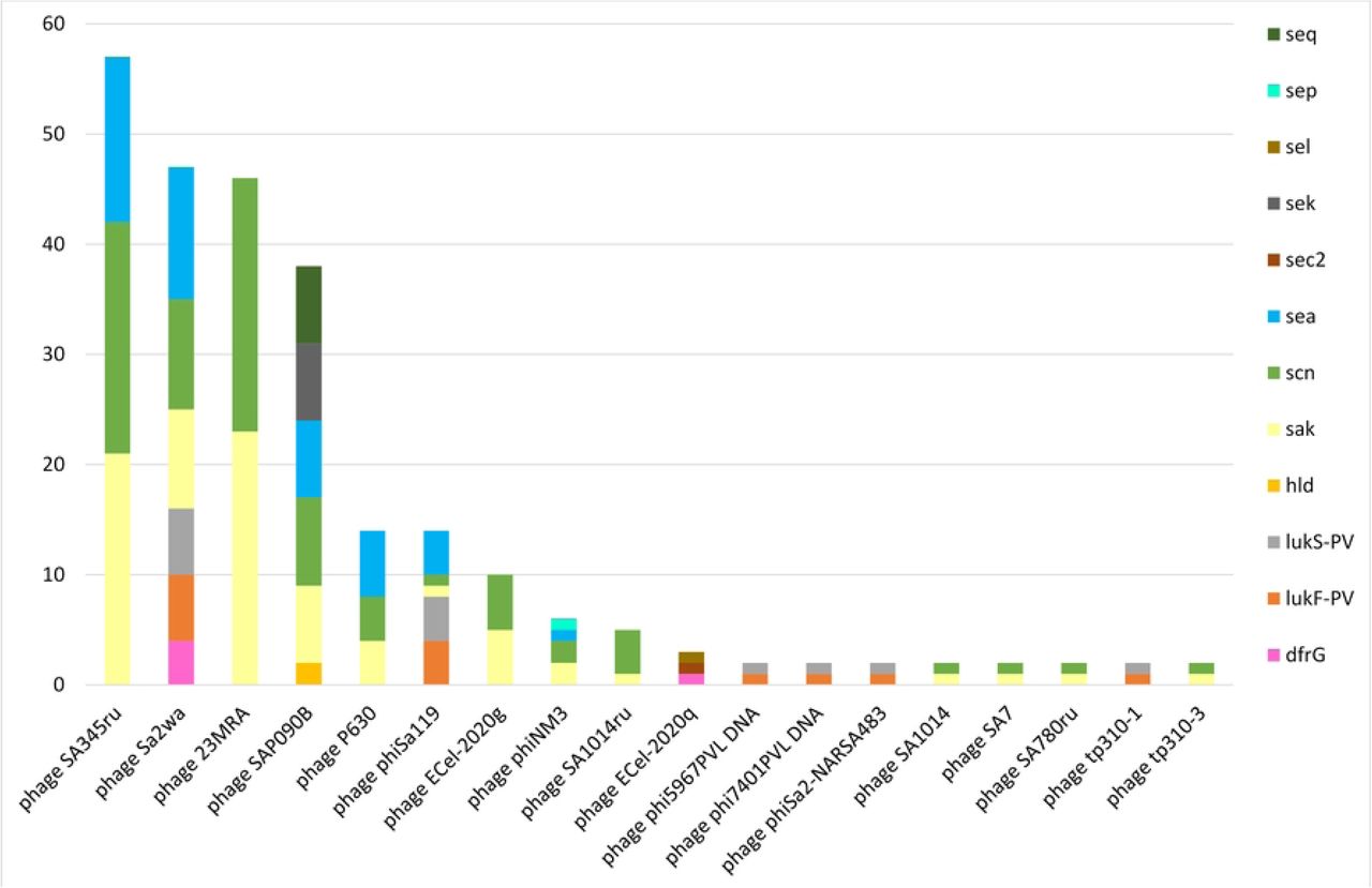 AMR and virulence genes in identified prophages in sequenced MDR-MRSA strains from Norway.