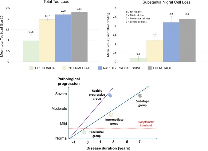 Proposed Pathological Progression of Different CBD Disease Groups. Top panels illustrate increasing total tau load and severity of nigral cell loss as the disease progresses from preclinical to intermediate, and to end-stage disease. No significant differences in total tau load and severity of nigral cell loss were identified between the rapidly progressive and end-stage groups. The bottom panel illustrates that the preclinical, intermediate and end-stage groups probably follow the same trajectory of disease progression based on our quantitative data above, whereas the rapidly progressive group demonstrates a more aggressive disease course with their pathological changes reaching the same level of severity as the end-stage group within 3 years or less after symptom onset. Notably, the mean disease duration of the Int-CBD and RP-CBD groups did not differ statistically but the severity of pathological changes in the Int-CBD group were significantly milder