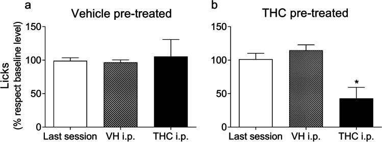 Acute THC administration (5 mg/kg i.p.) reduced SID only in animals previously pre-treated with THC. The percentage of licks with respect to the previous five acquisition sessions (baseline level) is represented in the group pre-treated with vehicle (a) and the group pre-treated with THC (b). The data represent the mean ± SEM in the last session, the control session with a preceding vehicle i.p. injection, and the test session with a preceding THC i.p. injection (n = 9 in each group). *p < 0.05 using Bonferroni post-test