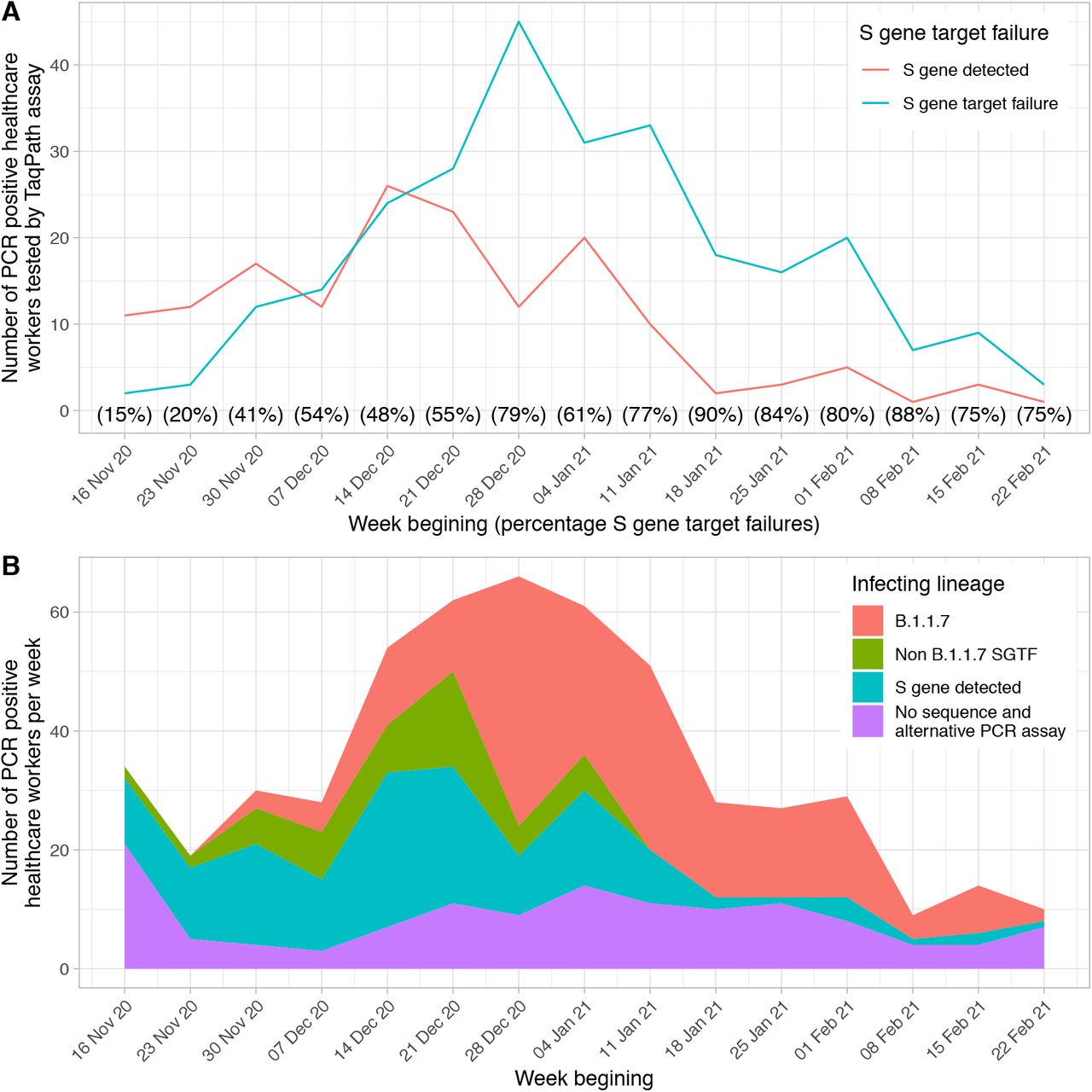 The incidence of S gene target failure (SGTF, panel A) and B.1.1.7 (panel B) infection by week of testing.From 16th November 2020 onwards samples from HCWs were routinely processed using the Thermo Fisher TaqPath assay allowing SGTF to be identified, shown in panel A. Sequencing was undertaken of samples processed on other assays as well, hence the larger total in panel B.