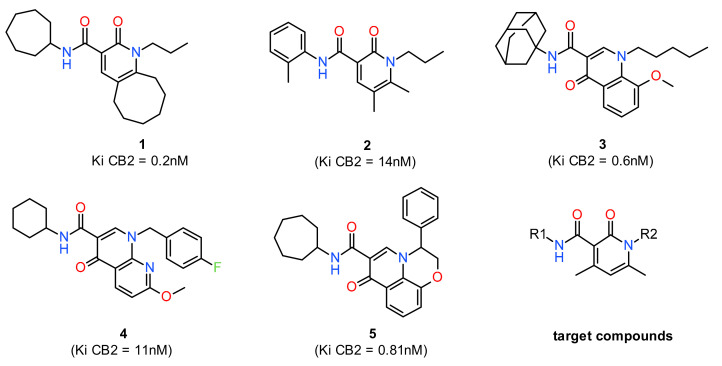 Chemical structures of reported pyridone/quinolone based CB2R ligands and target compound.