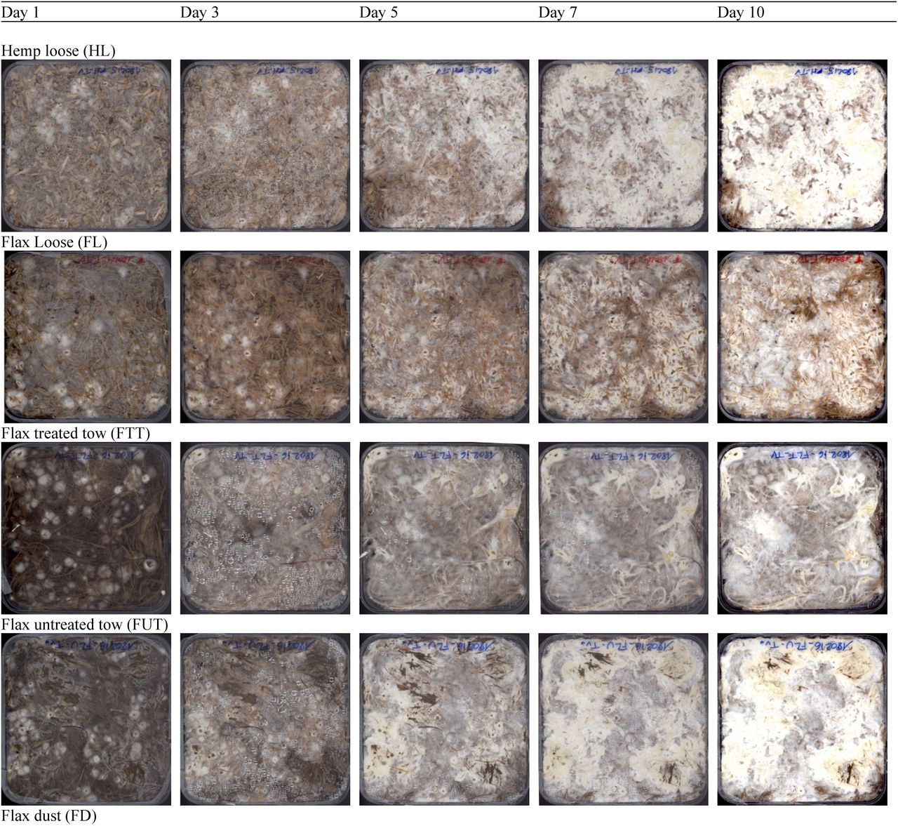 Growth evolution of a representative selection of the samples HL, FL, FTT, FUT, FD, FWL, WL, SL.