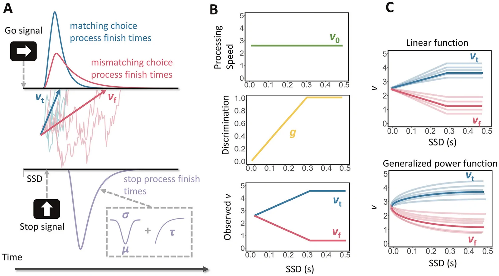 RDEX-ABCD model of the Stop-Signal task.A The “hybrid” racing-diffusion ex-Gaussian (RDEX) model framework combining an evidence-accumulation model for the go process with an ex-Gaussian model for the stop process. In this framework, Go reaction times (RT) results from a competition between accumulators that collect noisy evidence for both the choice matching the stimulus and the choice mismatching it (e.g., a right-facing arrow). These accumulators operate at average rates of vt and vf, respectively, and the process concludes when one of the accumulators reaches a predefined response threshold. The stop process is the Gaussian distribution characterized by a mean (μ) and standard deviation (σ), convolved with an exponential distribution with a mean of τ. B The RDEX-ABCD model accounts for the impact of context independence violations on Stop trials by introducing a perceptual growth function. In this function, evidence signals for both the matching and mismatching accumulators on Stop trials with a given stop signal delay (SSD) are composed of two components: a processing speed component that influences evidence accumulation equally for both choices and a discrimination component that favors the choice aligned with the presented stimulus. The processing speed is determined by parameter v0 and remains constant across all SSDs. At an SSD of 0 s, the discrimination component is absent (equal to 0) since the choice stimulus has not been presented yet. However, this component increases linearly at the same rate g for both the matching and mismatching accumulators as SSD lengthens until it reaches the levels of vt and vf, as observed in Go trials. Consequently, at an SSD of 0 s, the rates for matching and mismatching choices are identical, but as SSD increases, these rates diverge gradually until they match their respective Go trial levels. Panel B illustrates the linear growth form. C Empirical growth patterns of matching (blue lines increasing from SSD = 0) and mismatching (red lines decreasing from SSD = 0) go process accumulator rates by SSD for the sample average parameter estimates (thick lines) and for parameter estimates from several randomly drawn participants (thin lines) to illustrate individual variability. In panel C, the top subpanel shows the linear perceptual growth function, and the bottom subpanel shows the non-linear (power) growth function (determined via model comparison). This figure is adapted and modified from [16] (Figure is licensed under CC BY-NC-ND 4.0).