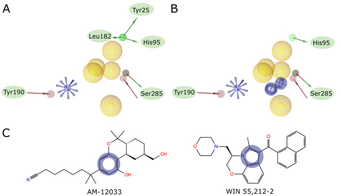 (A) Complex pharmacophore created by merging pharmacophores based on PDB IDs 6KPC and 6PT0 after superposition on reference points. (B) Pharmacophore from panel A with manual modifications introduced to account for frequent occurrence of aromatic rings in the center of the ligand and rare H-bonds. Green arrow, H-bond donor; red arrow, H-bond acceptor; yellow sphere, hydrophobic; blue star, positive ionizable; blue ring, aromatic ring. (C) Structural formulas of the two ligands used to create the pharmacophore. Placement of manually added aromatic ring descriptors is shown as blue circles.