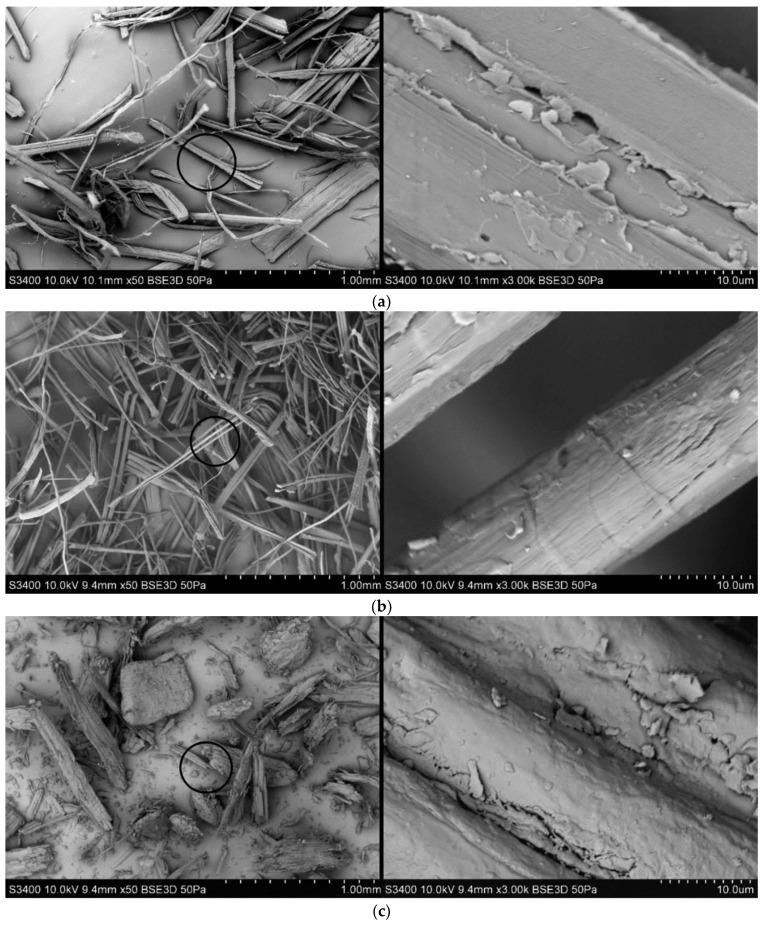 SEM photography of (a) hemp, (b) flax and (c) wood fibers.