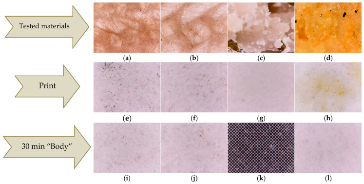 Optical microscopy images of the thin films deposited on hemp fabric: HS-DPL/hemp fabric (a) and HST-DPL/hemp fabric (b); crushed hemp seeds, HS (c); crushed hemp seeds mixed with turmeric powder, HST (d); HS-DPL/hemp fabric print test (e); HST-DPL/hemp fabric print test (f); HS print test (g); HST print test (h); HS-DPL/hemp fabric transfer test (i); HST-DPL/hemp fabric transfer test (j); grid 0.1 × 0.1 mm (k); and filter paper blank (l).