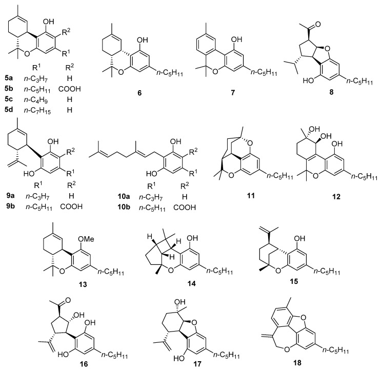 Minor phytocannabinoids cited in the text.