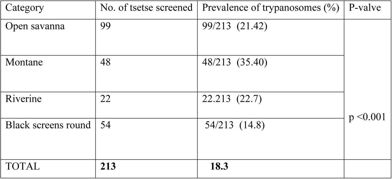 Prevalence of trypanosome infections in the study population of tsetse by different ecotone by traps deployed and black screen.