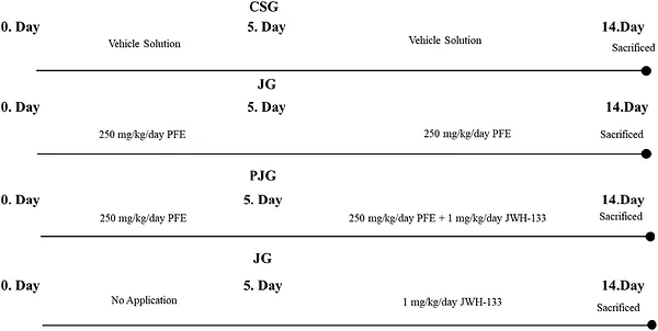 Timeline of experimental procedures in rats.