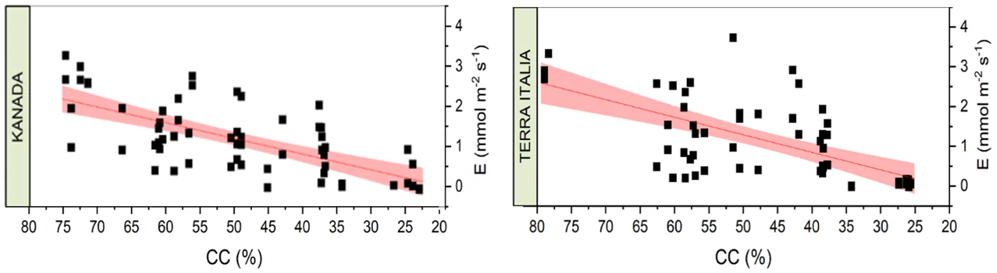 Two scatter plots compare the relationship between CC percentage and E (mmol per square meter per second) for two cannabis genotypes: Kanada on the left and Terra Italia on the right. Each plot includes black data points, a negative trend line, and a shaded confidence interval, indicating E decreases as CC percentage declines.