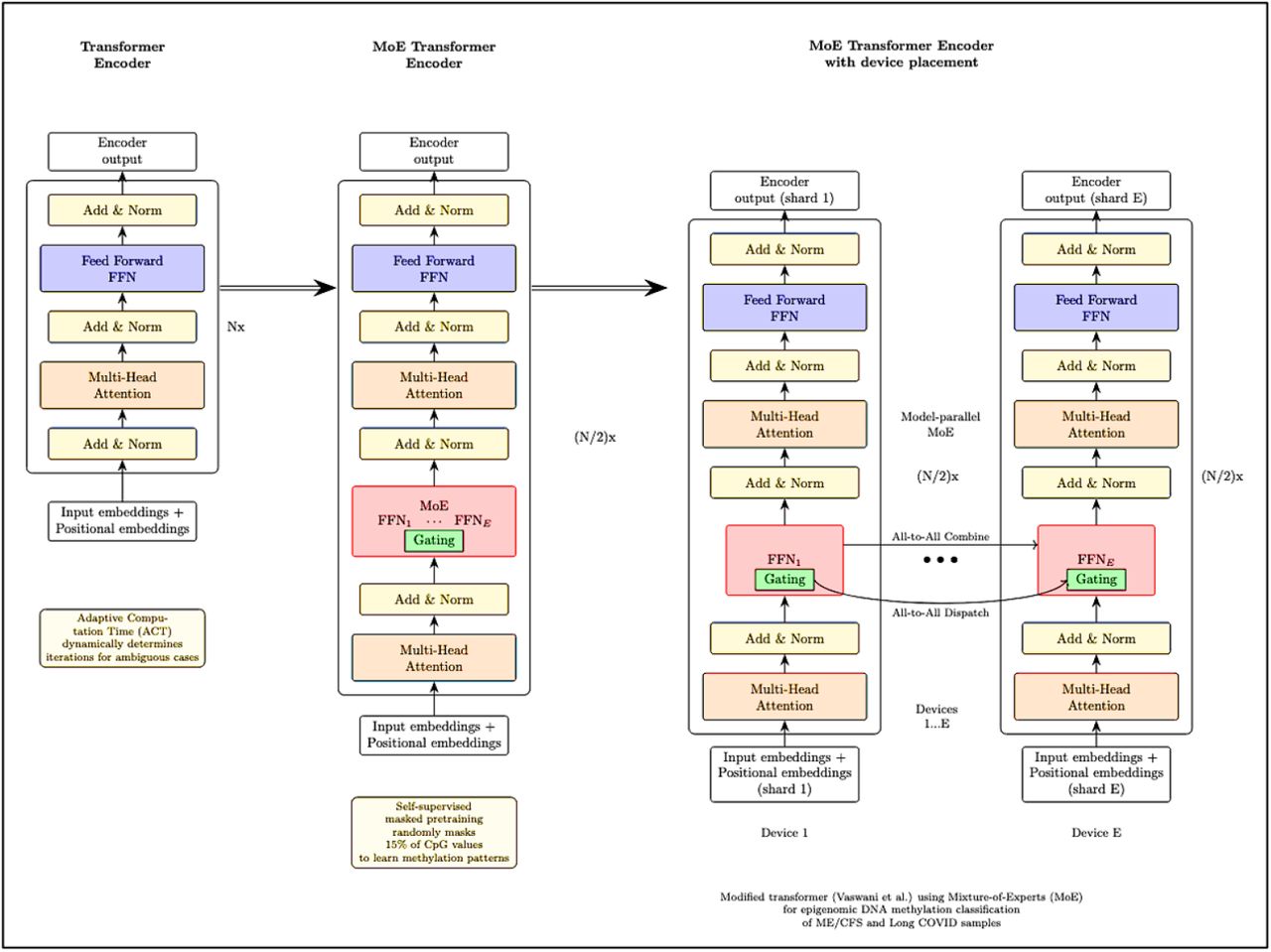 Architecture diagram of the Mobius model. Information flows through the layers of transformer encoders in the mixture-of-experts and adaptive computation time model.